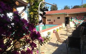 Butterfly Hostel