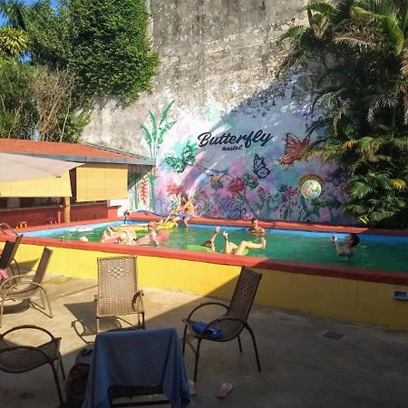 Butterfly Hostel Puerto Iguazu Exterior photo