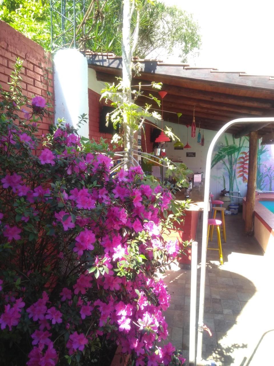 Butterfly Hostel Puerto Iguazu Exterior photo